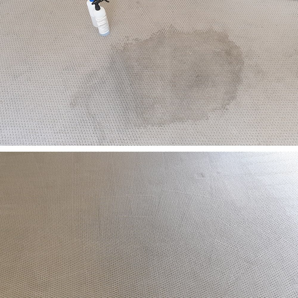 Office carpet stain removal in Perth, a large spill mark on pale carpet before treatment and the even, clean pile after.