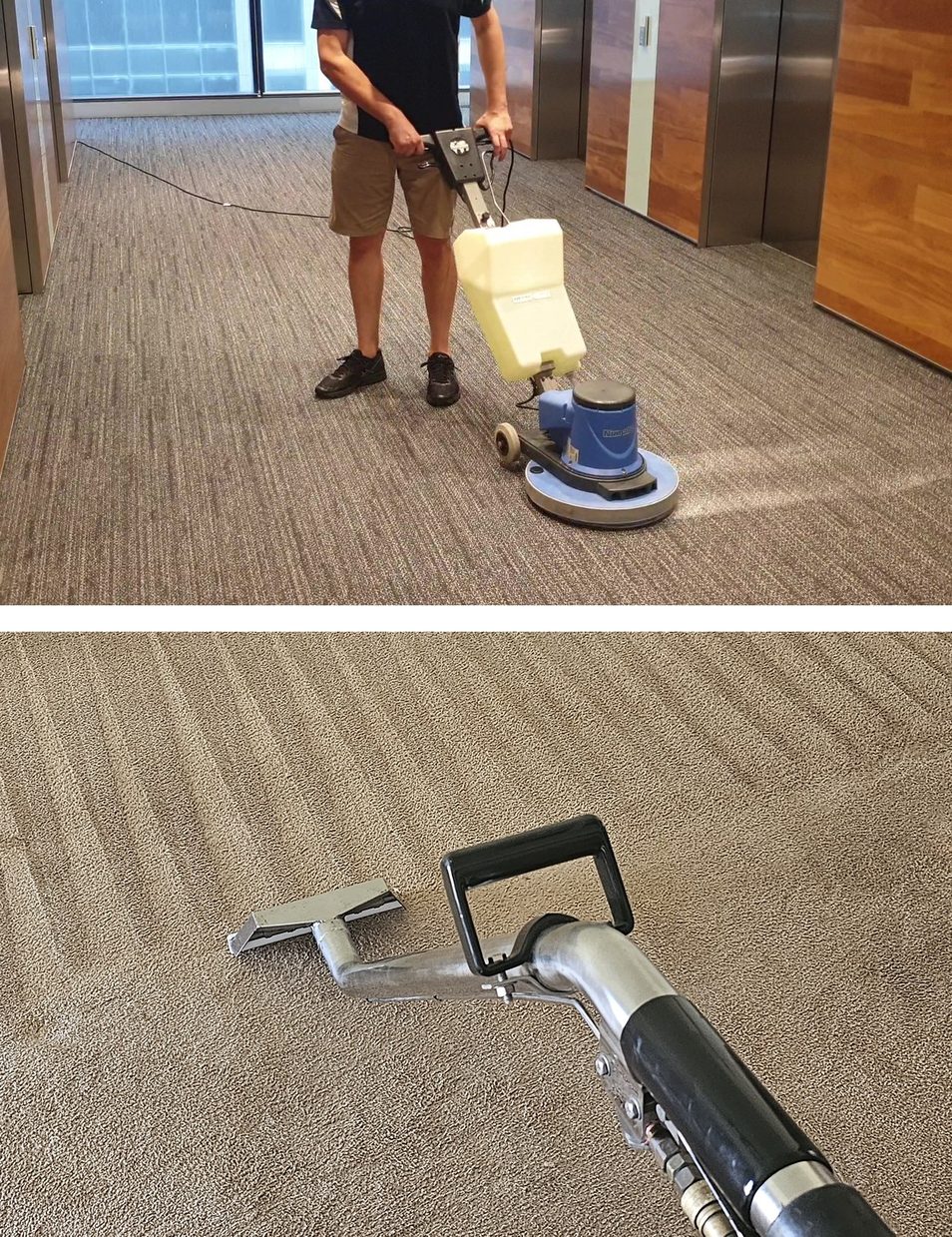 Our rotary machine cleaning carpet in a Perth lift lobby, above our steam cleaning wand drawing clean stripes through the pile.