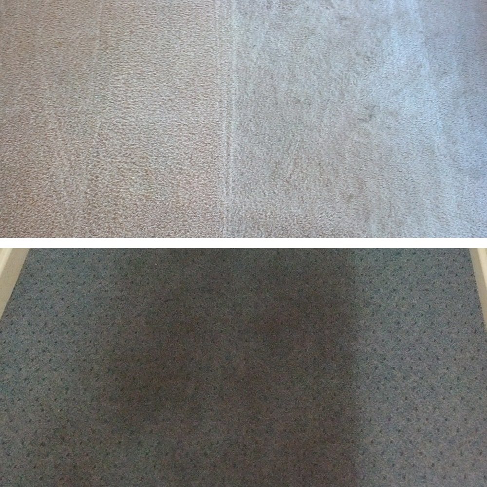 Office carpet steam cleaning in Perth, the cleaned lane beside the soiled carpet showing what hot water extraction takes out.