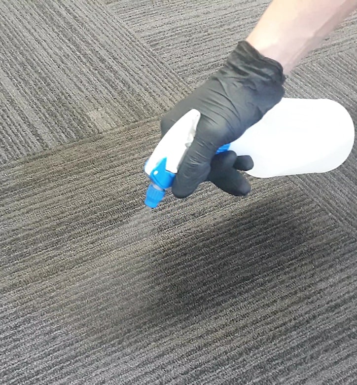 Carpet cleaner removing carpet stains in an office.