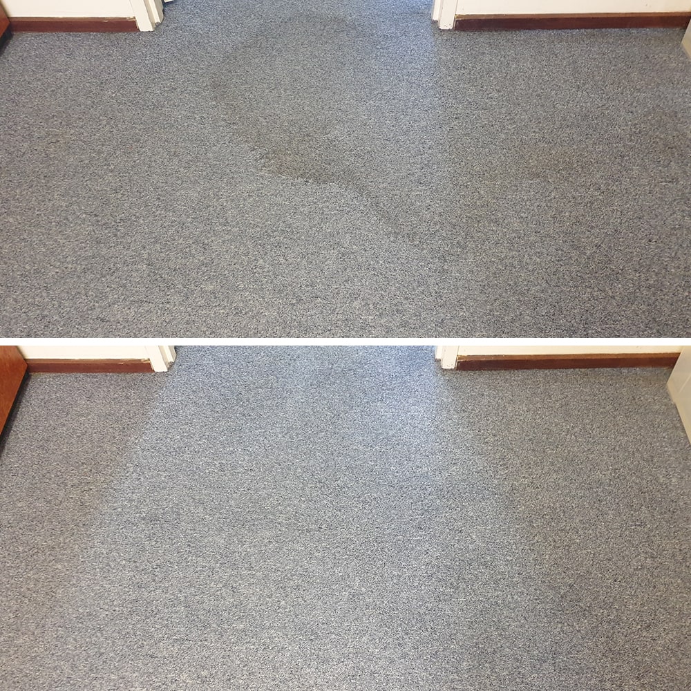 Removal of a water mark from carpets in an office. Before and after example.