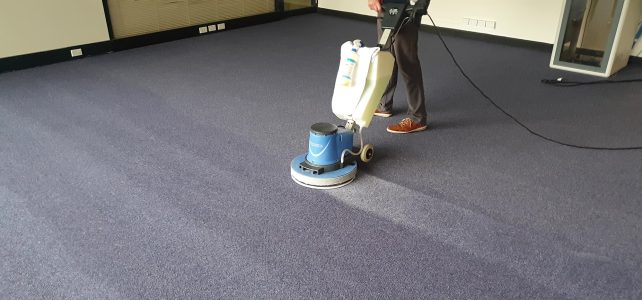 What To Expect From Professional Carpet Cleaners