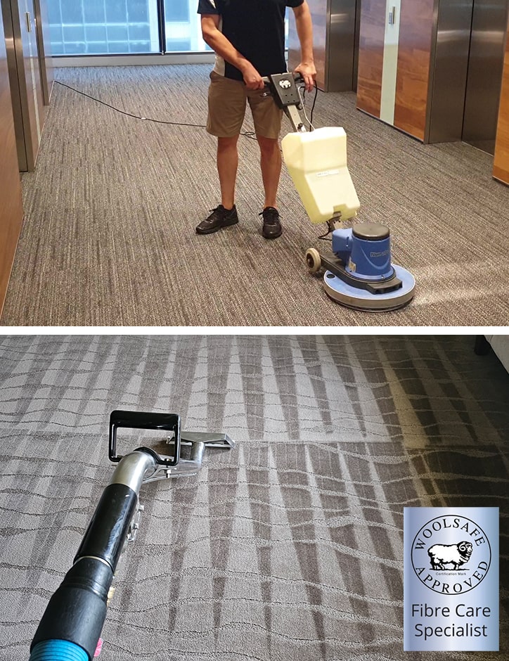 TM4 15” inch Low Moisture/Dry Carpet and Hard Floor Cleaning