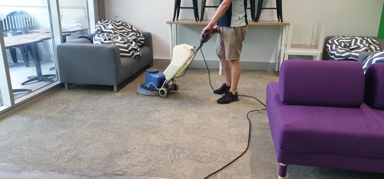 How Professional Carpet Cleaning Maintains Your Indoor Air Quality